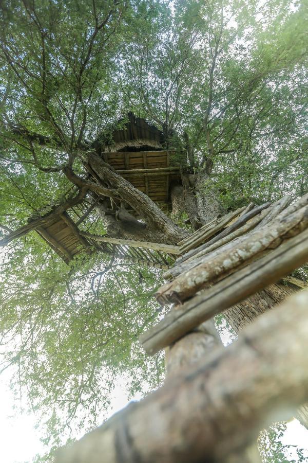 Subaseth Villa อนุราธปุระ ภายนอก รูปภาพ